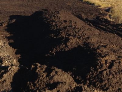 Торф низинный